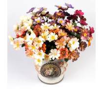 煤炭產品庫概覽與應用前景