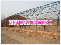 花卉大棚 廠家、種植價格與成本詳解